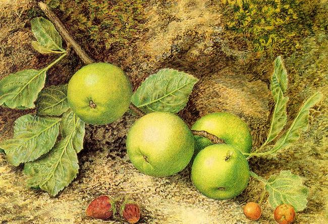 Hill, John William Still Life with Fruit and Fly Germany oil painting art